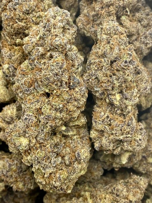 Stunna #1 is a sour, citrus, and berry like balanced hybrid strain that has a mysterious lineage.