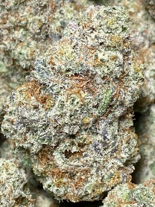 A unique sativa dominant strain that is a created by combining Animal Mints and Kush Mints.