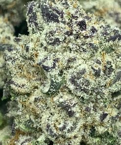 Truffle Butter is a unique Indica dominant hybrid that is crossed with Gelato and Chocolate Kush.