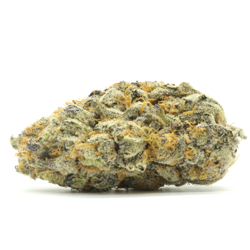 Ace of Spades is a unique Indica dominant hybrid strain that is created through crossing Black Cherry Soda and Jack the Ripper. 