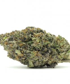 Doughboy Pink is a classic sweet, floral, and skunky Pink Kush variant.