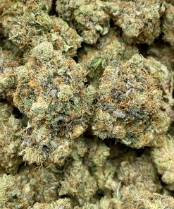 High Octane OG is a pure Indica strain, it was made by crossing Chemdawg, Lemon Thai, and Hindu Kush strains.