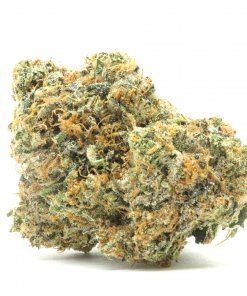 High Octane OG is a pure Indica strain, it was made by crossing Chemdawg, Lemon Thai, and Hindu Kush strains.