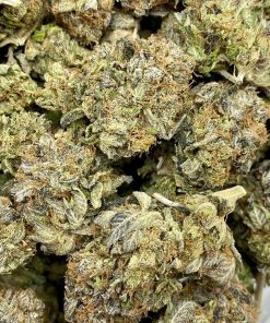 Pink Goo is a classic Pink Kush variant that is known for its heavy sedative effects.