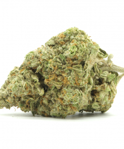 Gorilla Pie is an evenly balanced hybrid strain that is created by crossing Gorilla Glue and Jelly Pie strains.