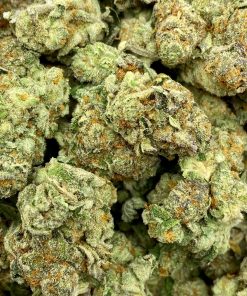 Goudaberry is an indica dominant hybrid strain that is created by crossing the delicious Red Pop and Rainbow Chip strains.