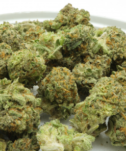 MAC1 is a balanced hybrid that is a combination of Alien Cookies F2 and Miracle 15 strains.