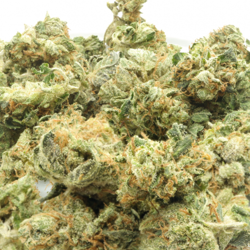 Platinum Rockstar is a classic indica dominant strain that is known for its sedative and euphoric effects.