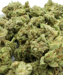 Snoop Dogg OG is an indica dominant strain that is known for its uplifting and balanced focus with a mild couch lock.