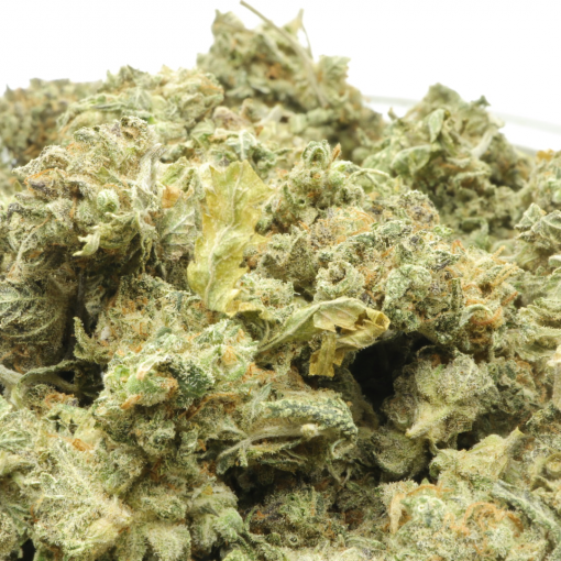 Sour LSD is a sativa dominant hybrid strain that is created by crossing Sour Bubble and LSD strains.