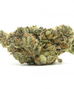Strawberries and Cream is a balanced hybrid strain that is created by crossing Strawberry Cough and The White strains.