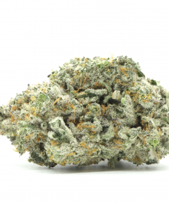 Frosted Gelato is a sativa dominant hybrid strain that is created by crossing Sherbinski Gelato with Brain Damage strains.