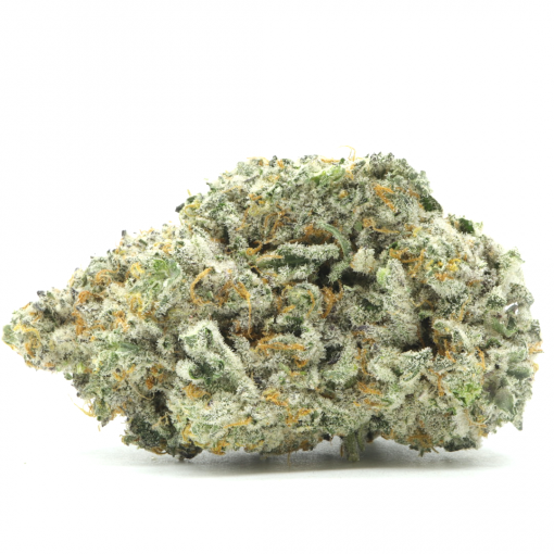 Frosted Gelato is a sativa dominant hybrid strain that is created by crossing Sherbinski Gelato with Brain Damage strains.