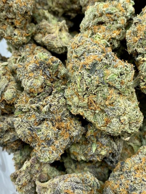 Gasoline Soda is an indica dominant hybrid strain that has an unknown lineage but is suspected to be a phenotype of Tahoe OG Kush strains.