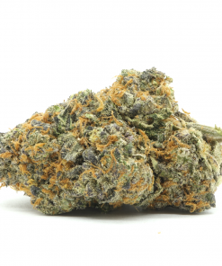 Gasoline Soda is an indica dominant hybrid strain that has an unknown lineage but is suspected to be a phenotype of Tahoe OG Kush strains.