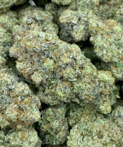 MAC 1 also known as Miracle Alien Cookies F1, is an evenly balanced hybrid strain that is created by combining Alien Cookies F2 with Miracle 15 strains.