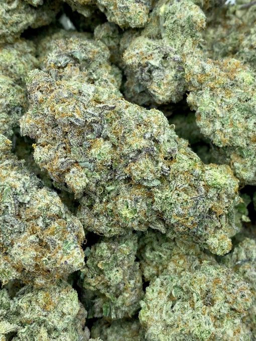 MAC 1 also known as Miracle Alien Cookies F1, is an evenly balanced hybrid strain that is created by combining Alien Cookies F2 with Miracle 15 strains.