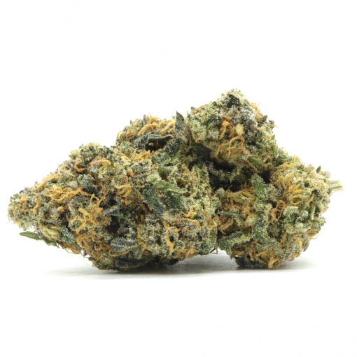 Sunset Gelato is a delicious indica dominant hybrid strain that is created by crossing Sunset Sherbet and Gelato. Sunset Gelato welcomes users with sweet, fruity, and candy like aromas that translates well into the flavour of the smoke.