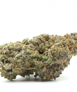 Sunset Mcflurry is a rare balanced hybrid strain that is created by crossing Sunset Sherbet with Mcflurry strains.
