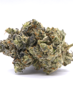 Blueberry Wedding Cake is an unique slightly Indica dominant hybrid strain that is a cross between Blueberry Kush and Wedding Cake strains.