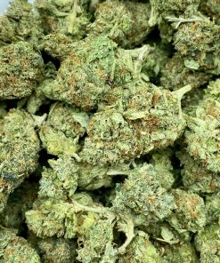 Comatose OG is an Indica dominant hybrid strain that is created by crossing the infamous OG Kush with another unknown Indica dominant hybrid strain.