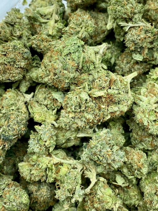 Comatose OG is an Indica dominant hybrid strain that is created by crossing the infamous OG Kush with another unknown Indica dominant hybrid strain.