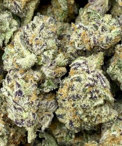 Platinum Punch is a sativa dominant hybrid strain that is created by crossing Platinum Wreck and Fruit Punch strains.