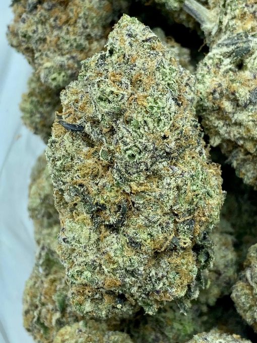 An evenly balanced hybrid strain that is created by crossing Sensi Star, Crystal Gale, and Blue Hawaiian strains.
