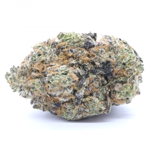 An evenly balanced hybrid strain that is created by crossing Sensi Star, Crystal Gale, and Blue Hawaiian strains.