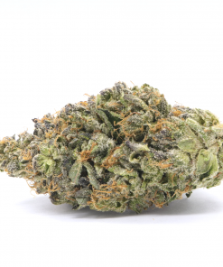 A classic Pink Kush variant known for its sedative effects and GASSY aromas that us gas lovers, LOVE!