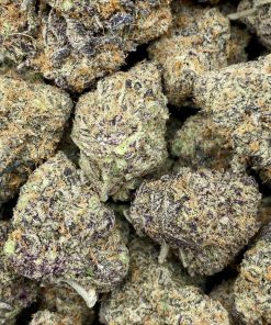 Tropicana Punch is a balanced hybrid strain that is created by crossing Tropicana Cookies with Purple Punch strains.