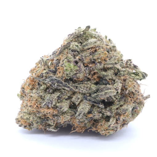 Tropicana Punch is a balanced hybrid strain that is created by crossing Tropicana Cookies with Purple Punch strains.