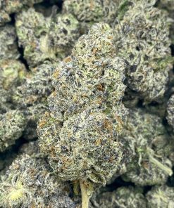 White Truffle is an unique Indica dominant hybrid strain that is created by crossing Gorilla Glue #4 with Peanut Butter Breath strains.