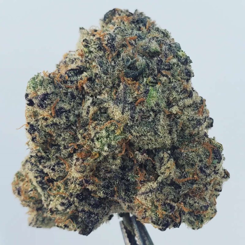 Photo taken by cannabis reviewer Bos of our Purple Milk strain