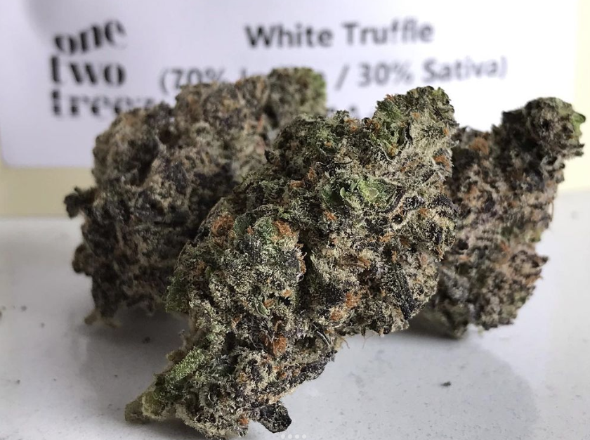 Photo taken by cannabis reviewer Lucky Hazed of our White Truffle strain
