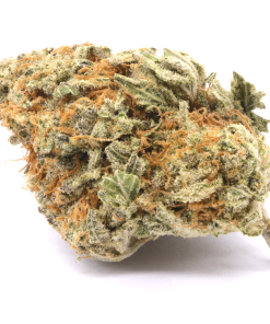 Do-Si-Dos is an indica dominant hybrid strain that is known for its euphoric, relaxed, and uplifting effects.