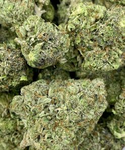Pink Diablo is an indica dominant hybrid strain that is known for its gassy aroma and sedative effects.