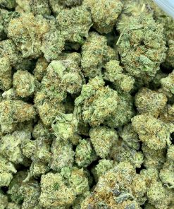 Platinum Punch is a sativa dominant hybrid strain that is created by crossing Platinum Wreck and Fruit Punch strains.