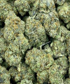 Grease Monkey is an indica dominant hybrid strain that is known for its sedative leaning effects.