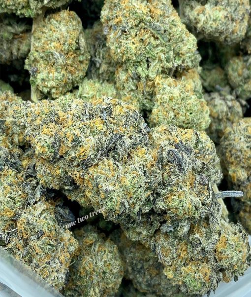 Kush Mintz is a balanced hybrid strain that is known for its relaxing and sedative effects, making it great for chronic pain and sleeping problems.
