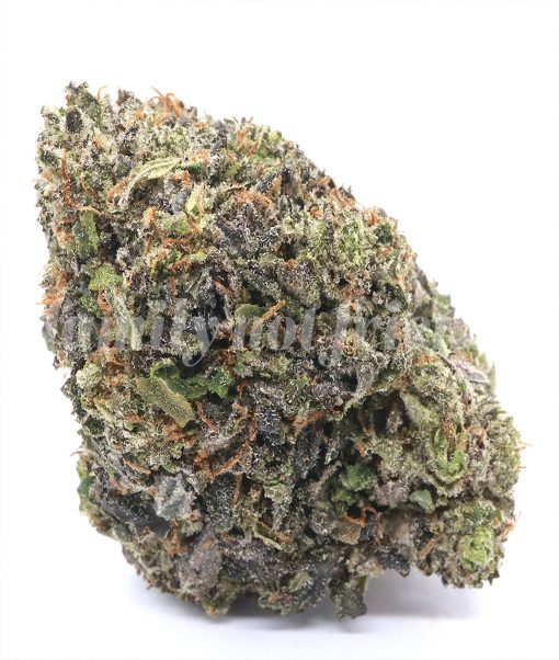 Pink Gas Mask is an indica dominant hybrid strain that is known for its euphoric, calming, and uplifting effects.