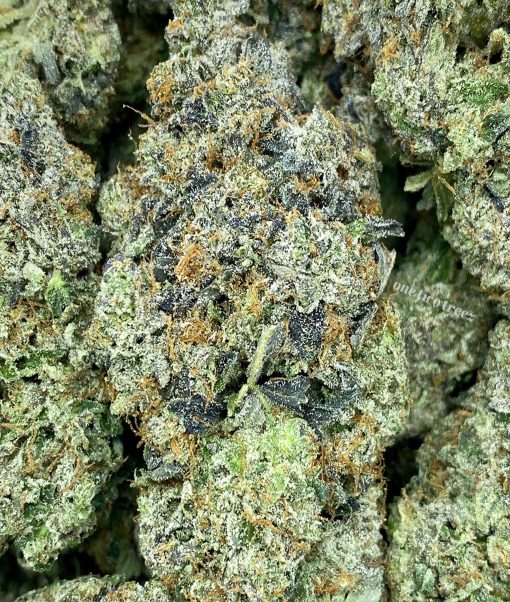 Pink Zombie is an indica dominant hybrid strain that is known for its gassy profile and sedative nature.
