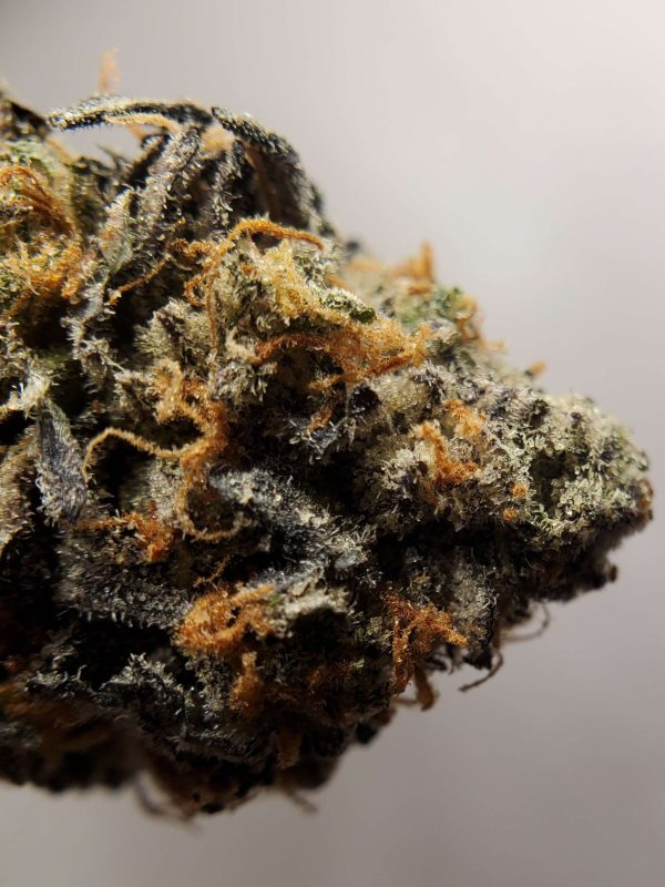 This post was written by a reviewer reviewing our Grease Monkey weed strain. Check out this post to see what he had to say about it!