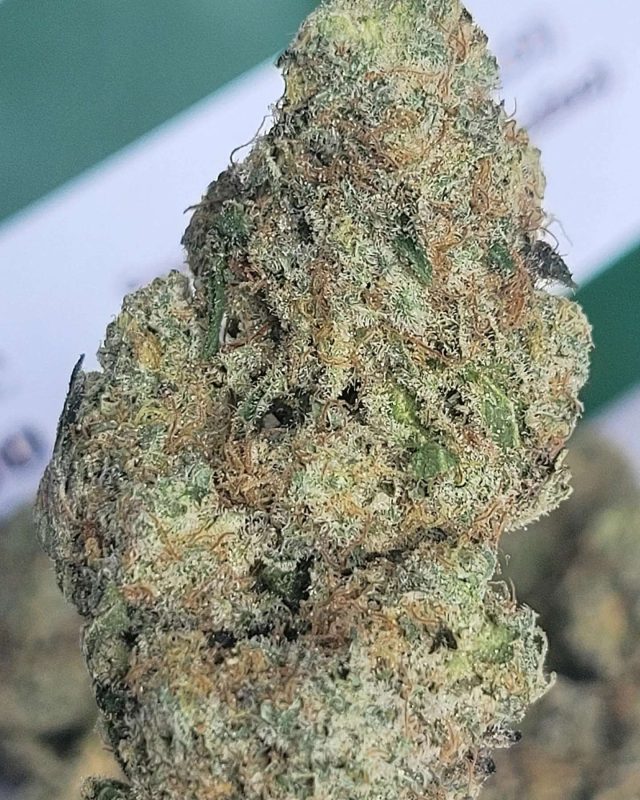 This post was written by a reviewer reviewing our Space cake weed strain. Check out this post to see what he had to say about it!
