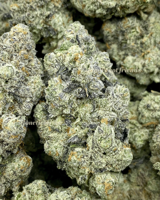 Strawberry MAC1 is a highly sought-after cannabis strain that's loved for its deliciously fruity aroma and powerful effects