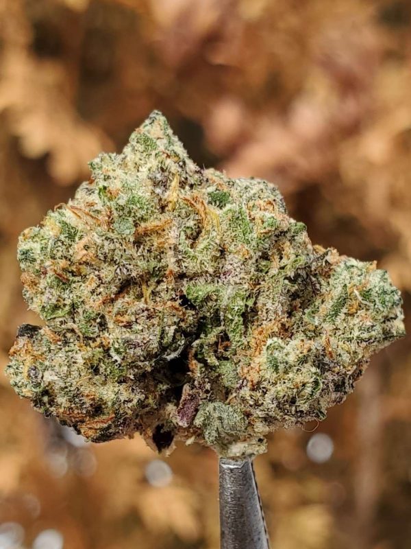 This post was written by a reviewer reviewing our Vanilla Runtz weed strain. Check out this post to see what he had to say about it!