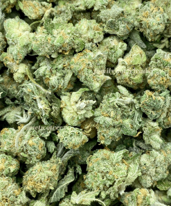 Bacio Gelato Popcorn is a sought-after cannabis strain that combines the indulgent Bacio Gelato with smaller, popcorn-sized buds.
