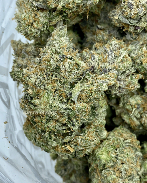 Ghost Bubba is a highly sought-after cannabis strain celebrated for its potent effects and unique flavor profile.