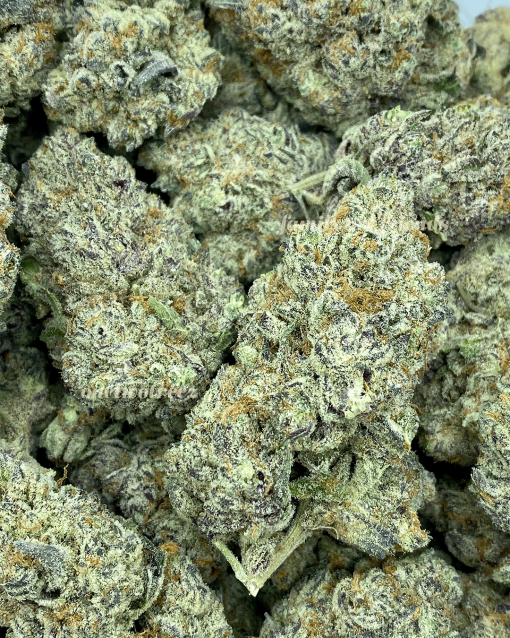 Orange Fanta is a popular cannabis strain known for its vibrant orange citrus flavors and uplifting effects