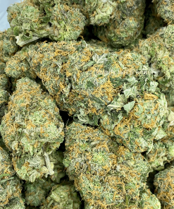 Red Congolese is a highly praised cannabis strain celebrated for its uplifting and invigorating effects.